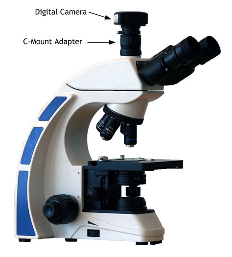 microscopes with camera|Digital Cameras for Microscopes .
